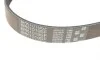 Ремень генератора Ford Fiesta V-VI/Focus III 1.2-1.6LPG 01- Gates 6PK1019SF (фото 3)