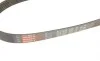 Ремень генератора Peugeot Boxer 2.5D/TD 94-02 (ALT,PS) Gates 6PK1025 (фото 4)