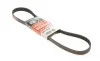 Ремень генератора Ford C-Max II/Focus III/Fiesta VI/Mondeo IV 1.2-1.6LPG 07- Gates 6PK1030SF (фото 1)