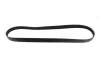 Ремінь генератора Ford Focus/Fiesta/Fusion/Mazda 2 1.25-1.6 98- Gates 6PK1042-1059SF (фото 4)