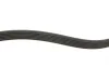 Ремінь генератора VW Golf III/Passat/T4 1.9D/TD (TP) Gates 6PK1043 (фото 3)