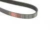 Ремінь генератора VW Golf III/Passat/T4 1.9D/TD (TP) Gates 6PK1043 (фото 5)