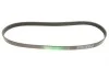 Ремень генератора Renault Magnum 12.0 00- Gates 6PK1050HD (фото 4)