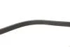 Ремень генератора Citroen Jumpy/Peugeot Expert 2.0 BlueHDi 16- Gates 6PK1073EST (фото 4)