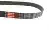 Ремінь генератора Citroen Jumper/Peugeot Boxer 2.0 94-/VW Caddy 1.4 04- Gates 6PK1098 (фото 2)
