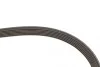 Ремінь генератора Citroen Jumper/Peugeot Boxer 2.0 94-/VW Caddy 1.4 04- Gates 6PK1098 (фото 3)