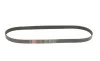 Ремень генератора VW T5 1.9TDI/2.0 03- (PS) Gates 6PK1113 (фото 1)