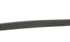 Ремень генератора VW T5 1.9TDI/2.0 03- (PS) Gates 6PK1113 (фото 2)