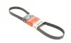 Ремень генератора VW T5 1.9TDI/2.0 03- (PS) Gates 6PK1113 (фото 4)