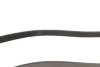 Ремінь генератора Skoda Octavia/VW Golf 1.6-2.0/1.9TDI 97-13/Passat B6/B7 1.8-2.0TSI/T5 1.9TDI 03-15 Gates 6PK1120 (фото 4)
