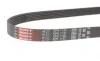 Ремінь генератора Citroen Jumper 1.9TD 94-02 (ALT,PS) Gates 6PK1130 (фото 2)