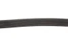Ремінь генератора Citroen Jumper 1.9TD 94-02 (ALT,PS) Gates 6PK1130 (фото 3)