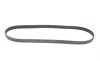 Ремінь генератора Citroen Jumper 1.9TD 94-02 (ALT,PS) Gates 6PK1130 (фото 4)