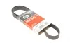 Ремень генератора Citroen C4/Jumper/Dacia Duster/Peugeot 307/Boxer 1.5D-2.0D 94- Gates 6PK1157 (фото 1)