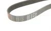 Ремень генератора Citroen C4/Jumper/Dacia Duster/Peugeot 307/Boxer 1.5D-2.0D 94- Gates 6PK1157 (фото 4)