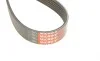 Ремень генератора Citroen C4/Jumper/Dacia Duster/Peugeot 307/Boxer 1.5D-2.0D 94- Gates 6PK1157 (фото 5)