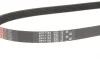Ремень генератора Citroen Jumper/Fiat Ducato/Peugeot Boxer 2.0/2.2HDi/JTD 02- Gates 6PK1183 (фото 2)