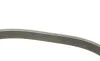 Ремінь генератора Dacia Dokker/Duster/Logan/Renault Kangoo/Scenic 1.5D-1.6D 01- Gates 6PK1199EST (фото 3)