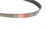 Ремінь генератора Citroen C5/Jumpy/Peugeot 3008/5008/Expert 2.0BlueHDI 16- Gates 6PK1230 (фото 2)