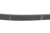 Ремень генератора Kia Rio IV 1.2-1.25 17- (6PK1232) Gates 6PK1235 (фото 3)