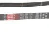 Ремень генератора Kia Rio IV 1.2-1.25 17- (6PK1232) Gates 6PK1235 (фото 4)
