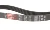 Ремінь генератора Ford Galaxy II/Mondeo IV 2.0 TDCi 06-15 Gates 6PK1245 (фото 2)