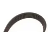 Ремінь генератора Ford Galaxy II/Mondeo IV 2.0 TDCi 06-15 Gates 6PK1245 (фото 3)