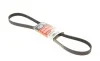 Ремінь генератора Ford Focus II/C-Max/Volvo C30/S40 II/V50 1.8/2.0 04-12 Gates 6PK1249SF (фото 1)