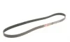 Ремінь генератора Ford Focus II/C-Max/Volvo C30/S40 II/V50 1.8/2.0 04-12 Gates 6PK1249SF (фото 2)