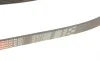 Ремінь генератора Ford Focus II/C-Max/Volvo C30/S40 II/V50 1.8/2.0 04-12 Gates 6PK1249SF (фото 4)