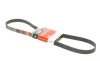 Ремень генератора VW T5 3.2 V6 03-09 Gates 6PK1263 (фото 1)