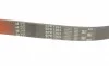 Ремень генератора VW T5 3.2 V6 03-09 Gates 6PK1263 (фото 4)
