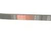 Ремінь генератора Ford Granada/Fiat Bravo 1.9D/2.0 07- Gates 6PK1270 (фото 4)