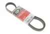 Ремень генератора Ford Focus/Mazda 3/5/Volvo S40/V50/C30 1.8-2.4 03- Gates 6PK1305 (фото 1)