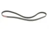 Ремень генератора Ford Focus/Mazda 3/5/Volvo S40/V50/C30 1.8-2.4 03- Gates 6PK1305 (фото 4)