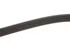 Ремінь генератора Fiat Doblo 1.3D Multijet/1.3JTD/Ford Focus 1.8/2.0 04- Gates 6PK1310 (фото 3)