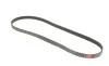 Ремінь генератора Fiat Bravo II/Opel Corsa D/E 1.3CDTi 1.9 D Multijet/1.3 CDTI 06- Gates 6PK1360 (фото 2)