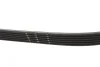 Ремень генератора Opel Corsa E 1.3 CDTI 06- (6PK1362) Gates 6PK1360XS (фото 3)