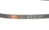 Ремень генератора Citroen Berlingo/Fiat Scudo 1.9D (1868) Gates 6PK1438 (фото 3)