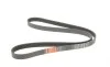 Ремінь генератора Peugeot 206/Partner/Citroen Berlingo/VW Polo 1.1-1.6 02- Gates 6PK1453 (фото 2)