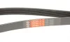 Ремінь генератора Peugeot 206/Partner/Citroen Berlingo/VW Polo 1.1-1.6 02- Gates 6PK1453 (фото 5)