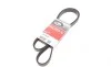 Ремень генератора Mitsubishi ASX/Lancer 1.8 DI-D 10- Gates 6PK1488 (фото 1)