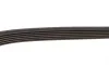 Ремень генератора Mitsubishi ASX/Lancer 1.8 DI-D 10- Gates 6PK1488 (фото 3)