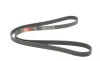 Ремень генератора Fiat Doblo/Opel Combo 1.3D 10- Gates 6PK1525 (фото 4)