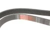 Ремень генератора Fiat Doblo/Opel Combo 1.3D 10- Gates 6PK1525 (фото 6)