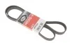 Ремень генератора VW Golf/BMW/Ford/Opel Gates 6PK1540 (фото 1)