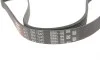 Ремень генератора VW Golf/BMW/Ford/Opel Gates 6PK1540 (фото 2)
