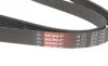 Ремень генератора VW Golf/BMW/Ford/Opel Gates 6PK1540 (фото 3)