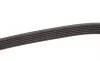 Ремень генератора BMW 5 (E60/E61)/7 (E65-E67)/X5 (E53) 4.4/4.8 01-09 N62 Gates 6PK1548 (фото 3)