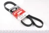 Ремінь генератора Citroen Berlingo 1.6 00-08/ Nemo 1.4i 08- Gates 6PK1560 (фото 1)
